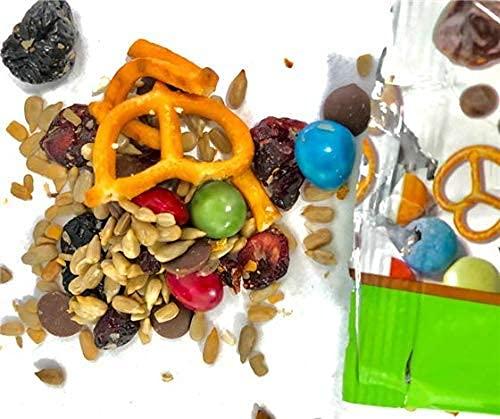 No Whey! Foods Vegan, Plant Based, Gluten Free Gourmet Chocolates | Santa\'s Truffle Collection (9 Pieces) | Dairy Free, Nut Free, Peanut Free, Soy Free | Allergy Friendly Gifts | By No Whey! Foods