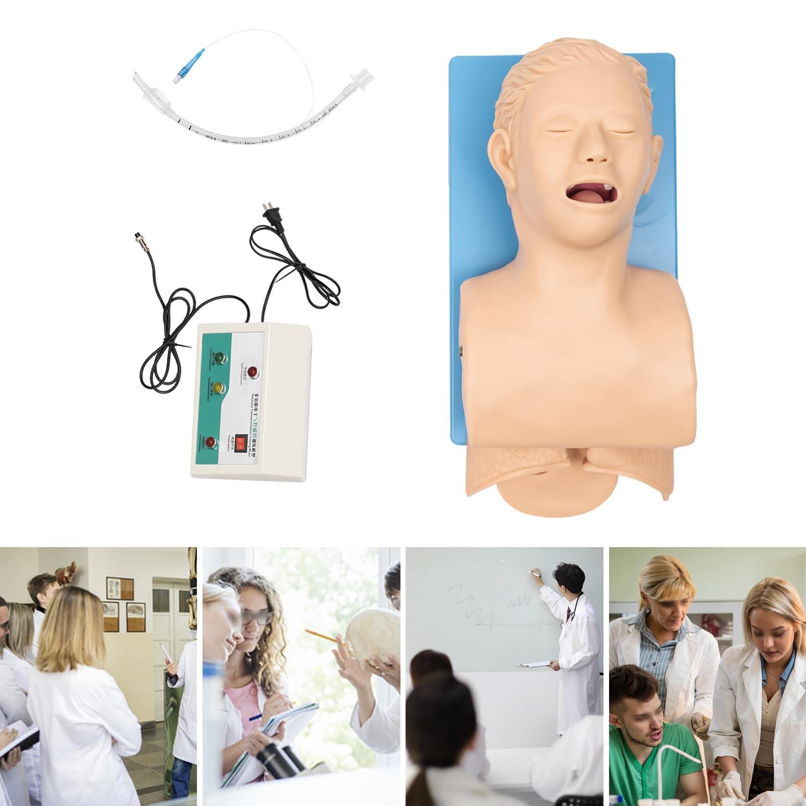 CNCEST CNCEST Adult Intubation Manikin Teaching Model,Airway Management Trainer Tracheal Intubation Training Simulator Model