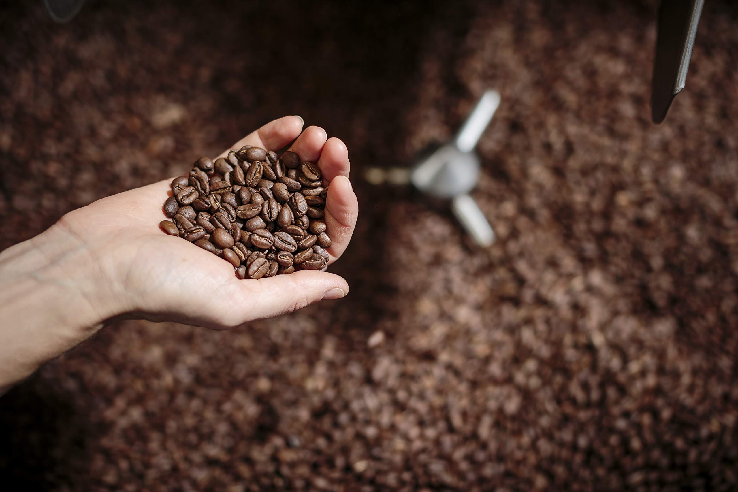 Nossa Familia Nossa Familia Italian Coffee - Medium-Dark Roast Low Acid - Fair Trade Ground Coffee Bean- Smooth Balanced and Low Bitterness - Roasted Whole Coffee- Sourced from Small Peruvian Farms - Delicia 12oz