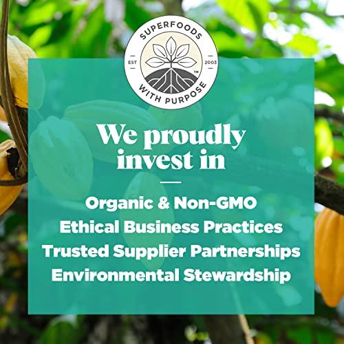 Navitas Organics Navitas Organics Cacao Sweet Nibs 8oz. Bag, 56 Servings — Organic, Non-GMO, Gluten-Free