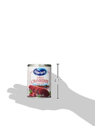 Ocean Spray Ocean Spray Cranberry Sauce, Jellied, 14 Fl Oz
