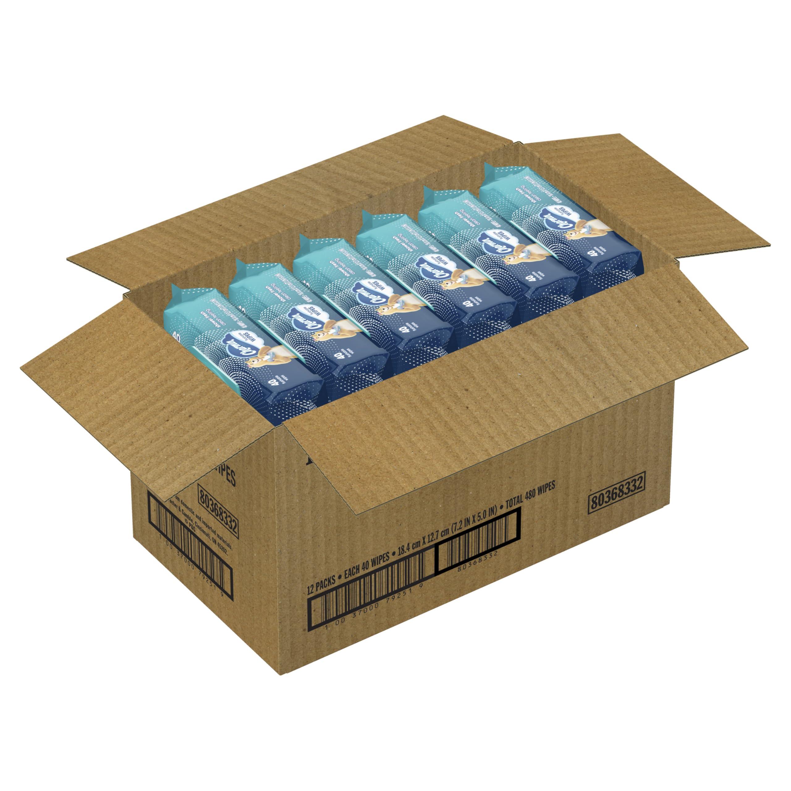 Charmin Charmin Flushable Wipes, 480 Total Wipes (12 Packs of 40)