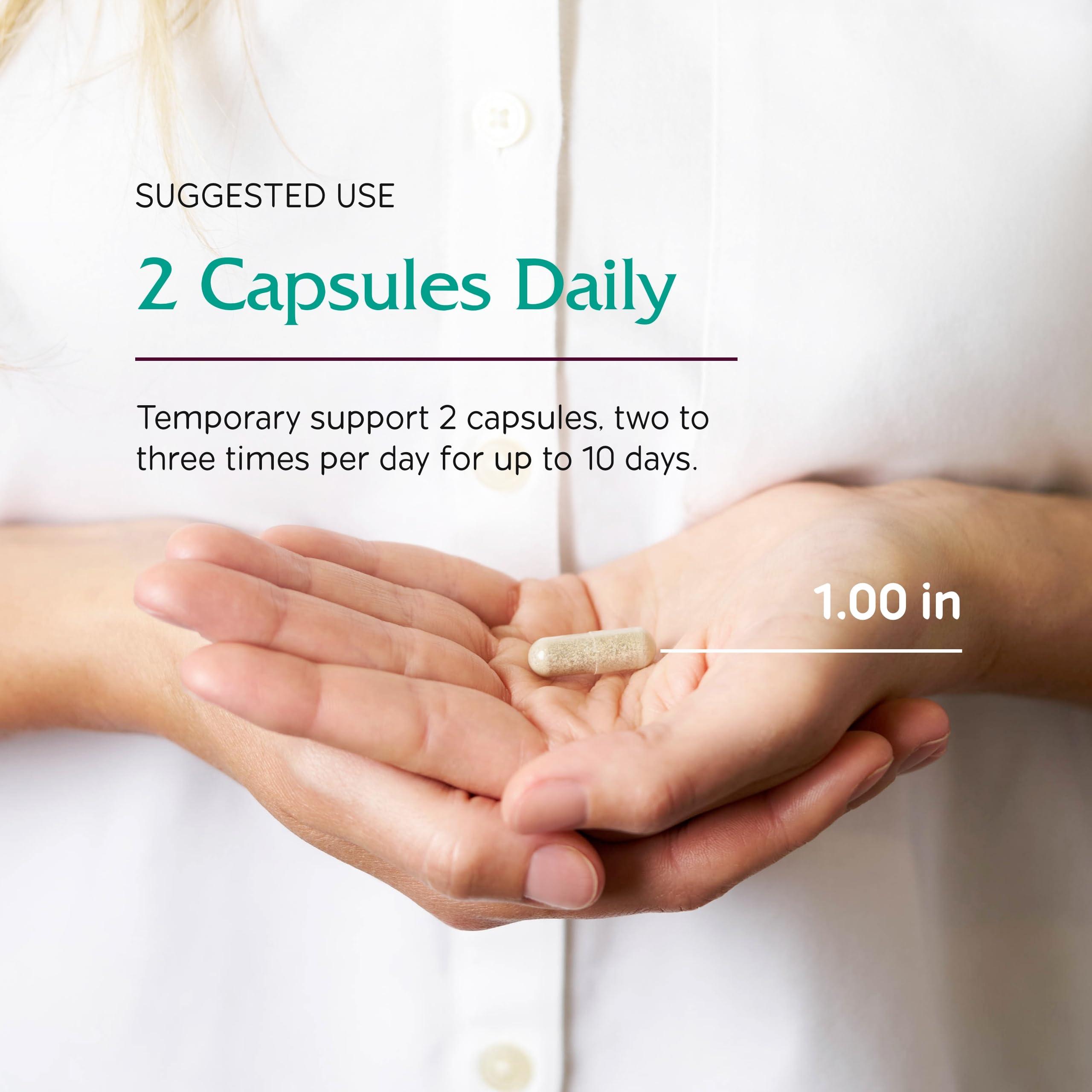 Vitanica Vitanica Lysine Extra, Immune System Support, Vegan, 60 Count