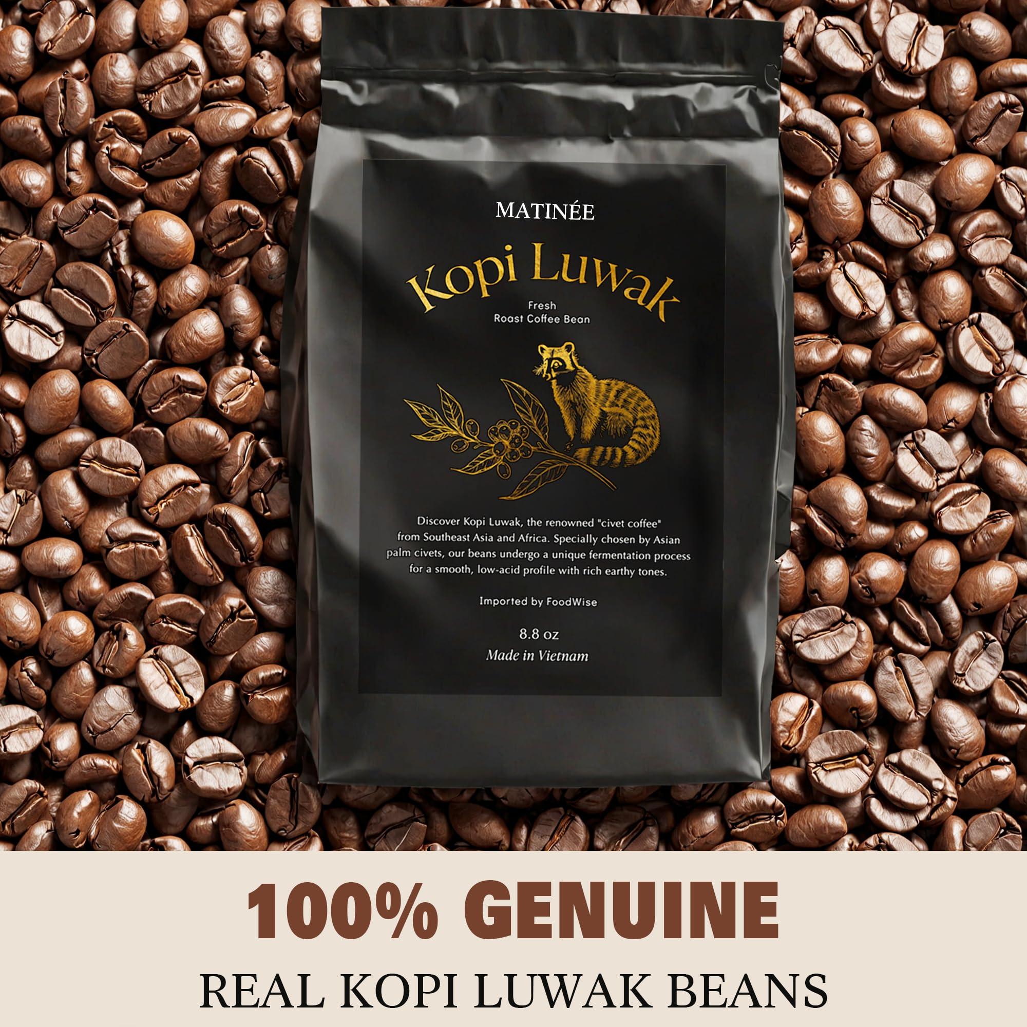 MATINE MATINE Wild Kopi Luwak Coffee Beans, Medium Roast, Whole Bean Coffee, Civet Coffee, Wild Kopi Luwak Coffee - Sustainably Sourced From Vietnam, 8.8oz / 250 Grams