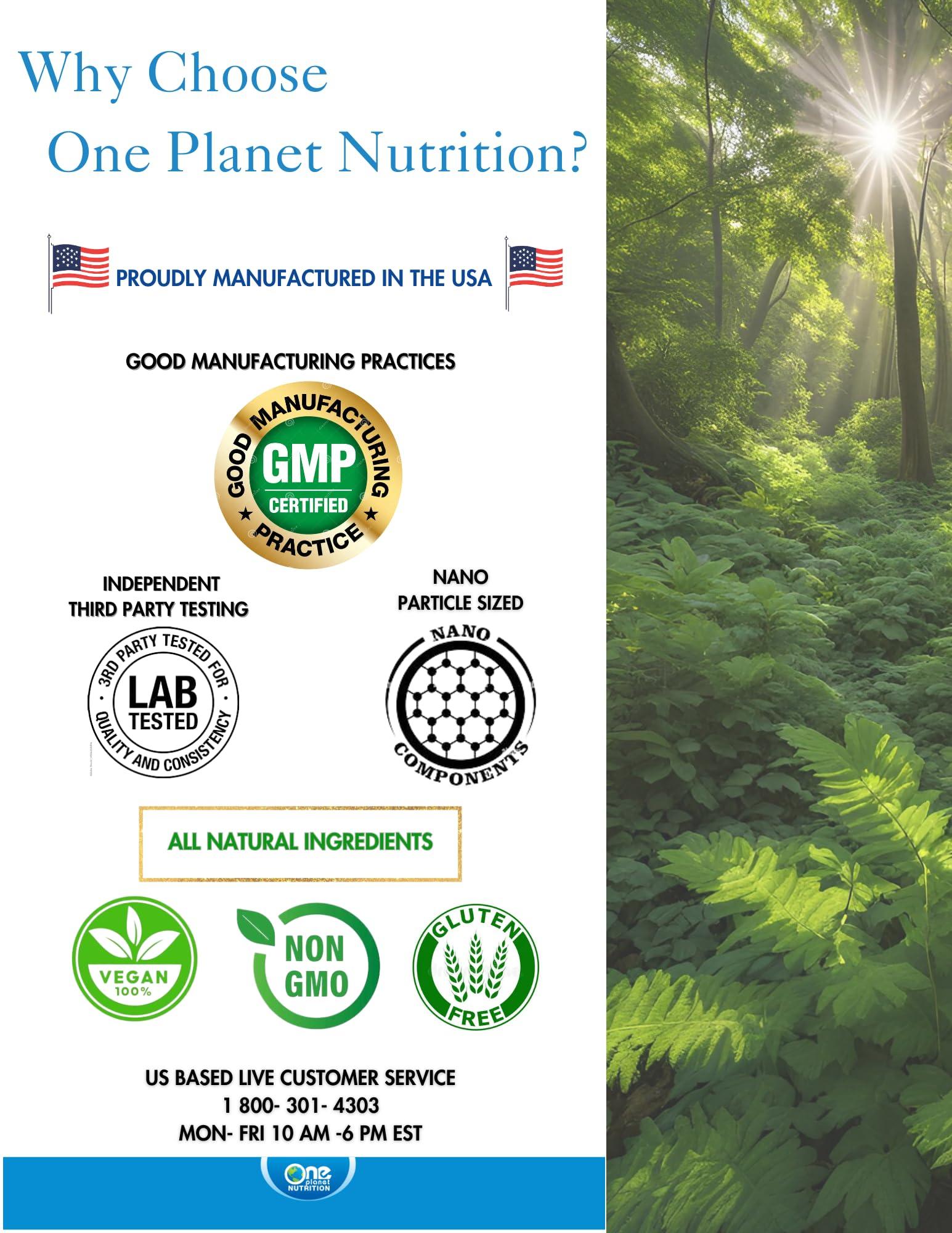 One Planet Nutrition One Planet Nutrition Nano Curcumin 500 mg Veggie Capsules (240 Servings), Family Size, Nano for High Absorption, Supports Anti-Inflammatory & Immune Health, Non-GMO, Vegan, Gluten-Free