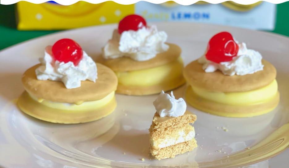 Moon Pies Mini Moon Pies Bulk 72 Individually Wrapped Moon Pie 12 Boxes 6 Each Box (Vanilla)