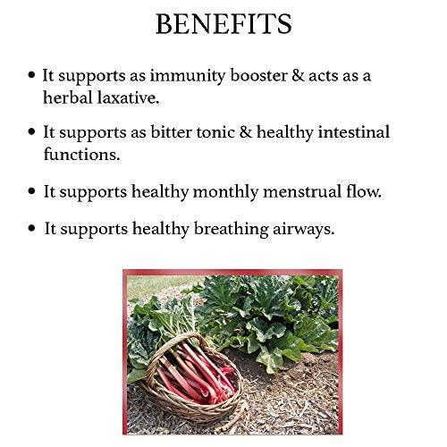 bixa BOTANICAL bixa BOTANICAL Indian Rhubarb Powder | Rheum Emodi | Ayurvedic Herbal Supplement | Gluten Free, Non-GMO, Steam Treated, Vegan, 100% Pure | 200g / 7oz