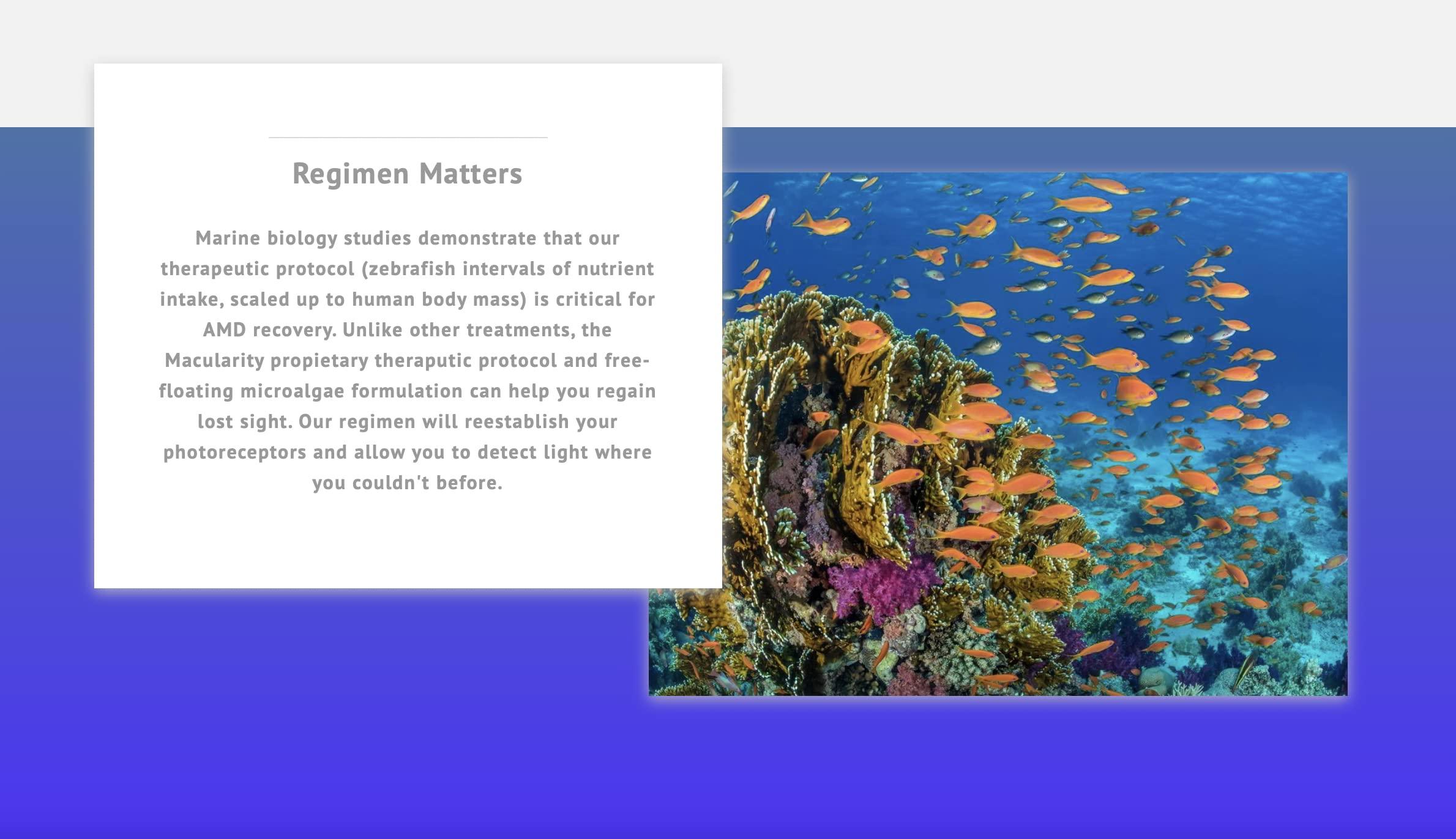 Lindt New Lindt Classic Vegan Salted Caramel, 100g