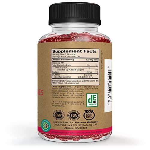 Pomona Wellness Pomona Wellness Organic Probiotic Gummies for Kids, Supports Digestive and Immune Health Helps Minor Abdominal Discomfort & Bloating, Strawberry Flavor, USDA Organic, Vegan, Non-GMO, 30 Count (2 Pack)