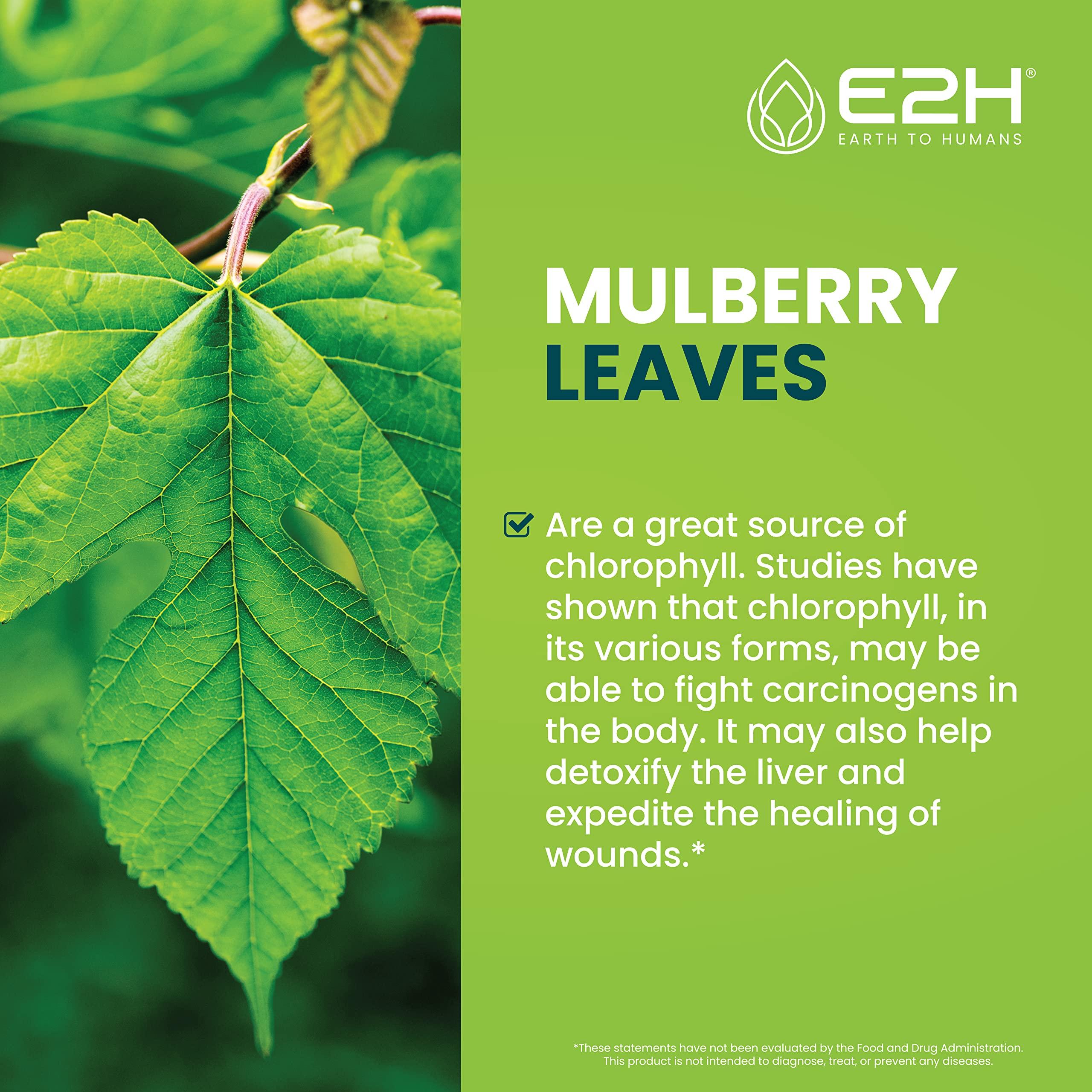 E2H EARTH TO HUMANS E2H Chlorophyll Liquid Drops - Natural Energy Booster, Immune System Support and Internal Deodorant - Peppermint Flavor - 2 Fl Oz