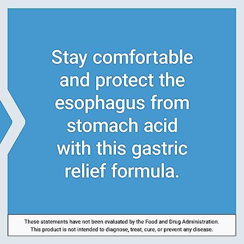 Life Extension Life Extension Esophageal Guardian, alginic Acid, Potassium Bicarbonate, get Long-Lasting Relief from gastric Distress, Vegetarian, Non-GMO, Gluten-Free, 60 Vegetarian chewable Tablets