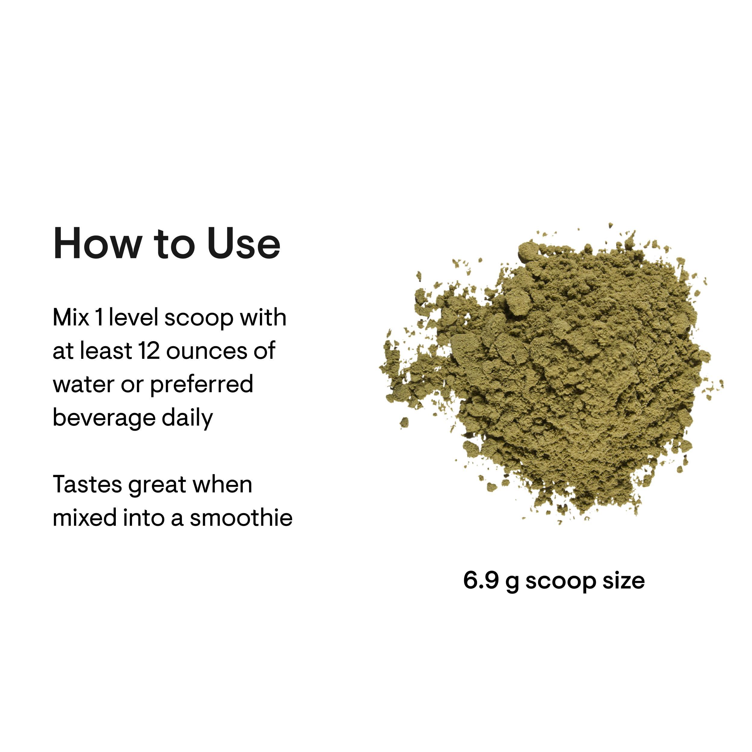 THORNE THORNE Daily Greens Plus - Comprehensive Greens Powder with Matcha, Spirulina, Moringa and Adaptogen, Mushroom and Antioxidant Blends - Refreshing, Mint Flavor 7.2 Oz - 30 Servings