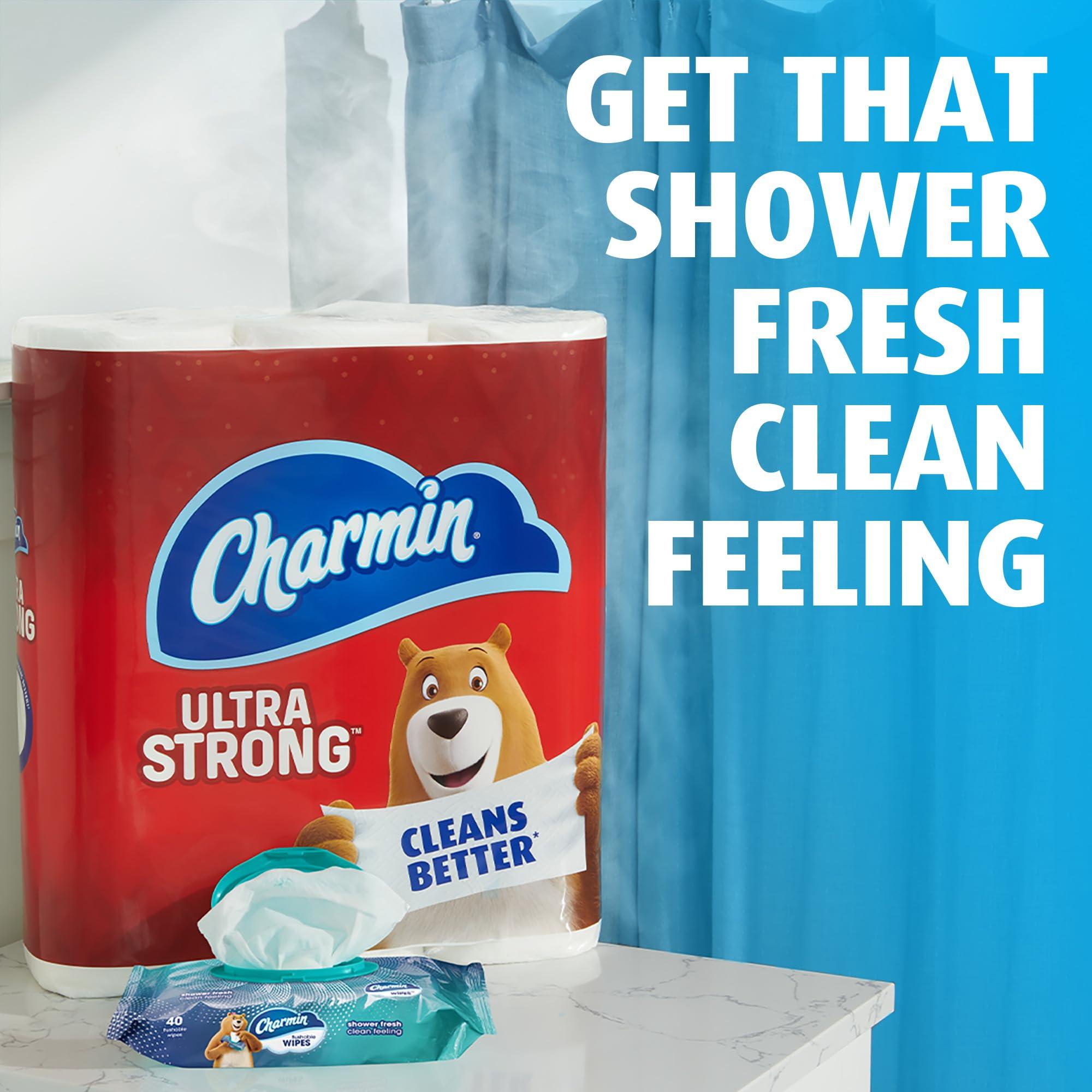 Charmin Charmin Flushable Wipes, 480 Total Wipes (12 Packs of 40)