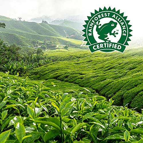 Red Rose Red Rose Orange Pekoe Tea (216)