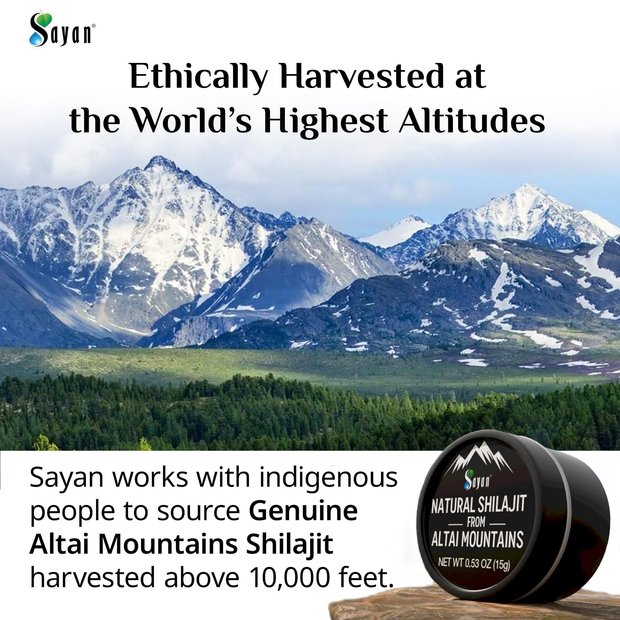 Sayan Sayan Pure Authentic Altai Shilajit Resin - 30 Grams, 4 Month Supply - High Efficacy Organic Fulvic Acid Supplement for Women and Men to Support Immune System, Energy, & Detox - Vegan, Non-GMO
