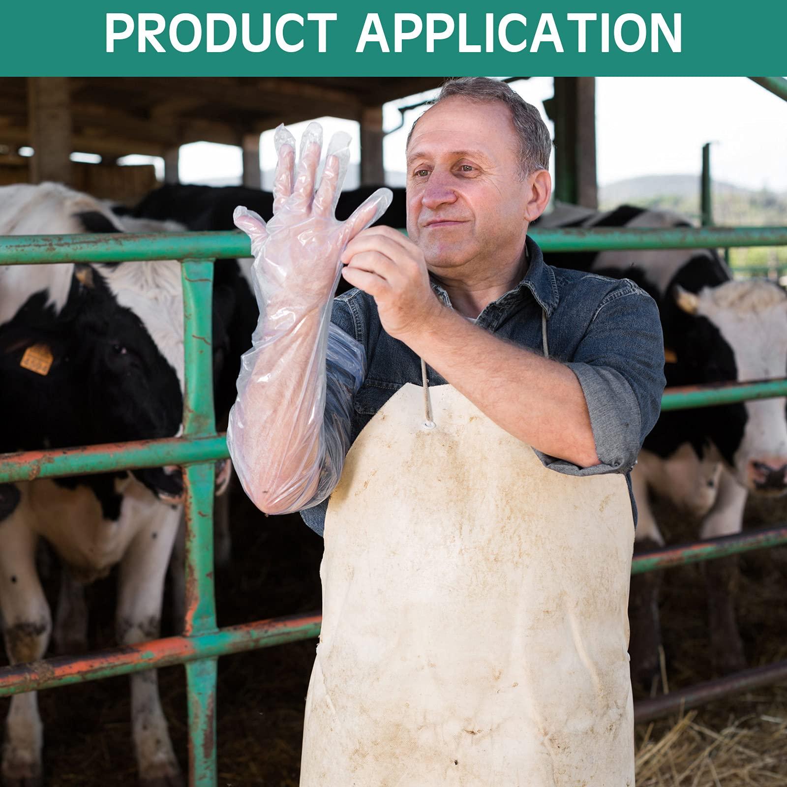 Lauwell Lauwell 50 Pcs Disposable Dressing Gutting Gloves 35 Inch Shoulder Length Field Dressing Gloves Veterinary Insemination Glove(White)