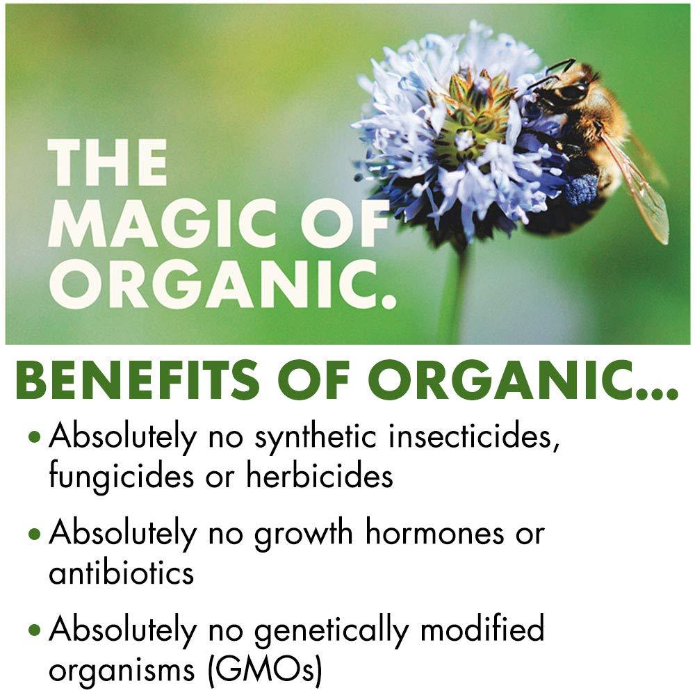 Cascadian Farm Cascadian Farm Organic Chocolate Chip Chewy Granola Bars, 6 Bars, 7.4 oz