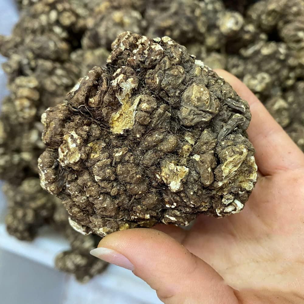 Generic Rhizoma CHUANXIONG Chuanxiong Ligusticum Chuanxiong Hort Traditional Chinese Medicine Chuanqiong Sichuan Dome,chuanxiong Rhizome; Rhizoma Ligustici Wallichi, (1000 Grams /2.20 lbs)