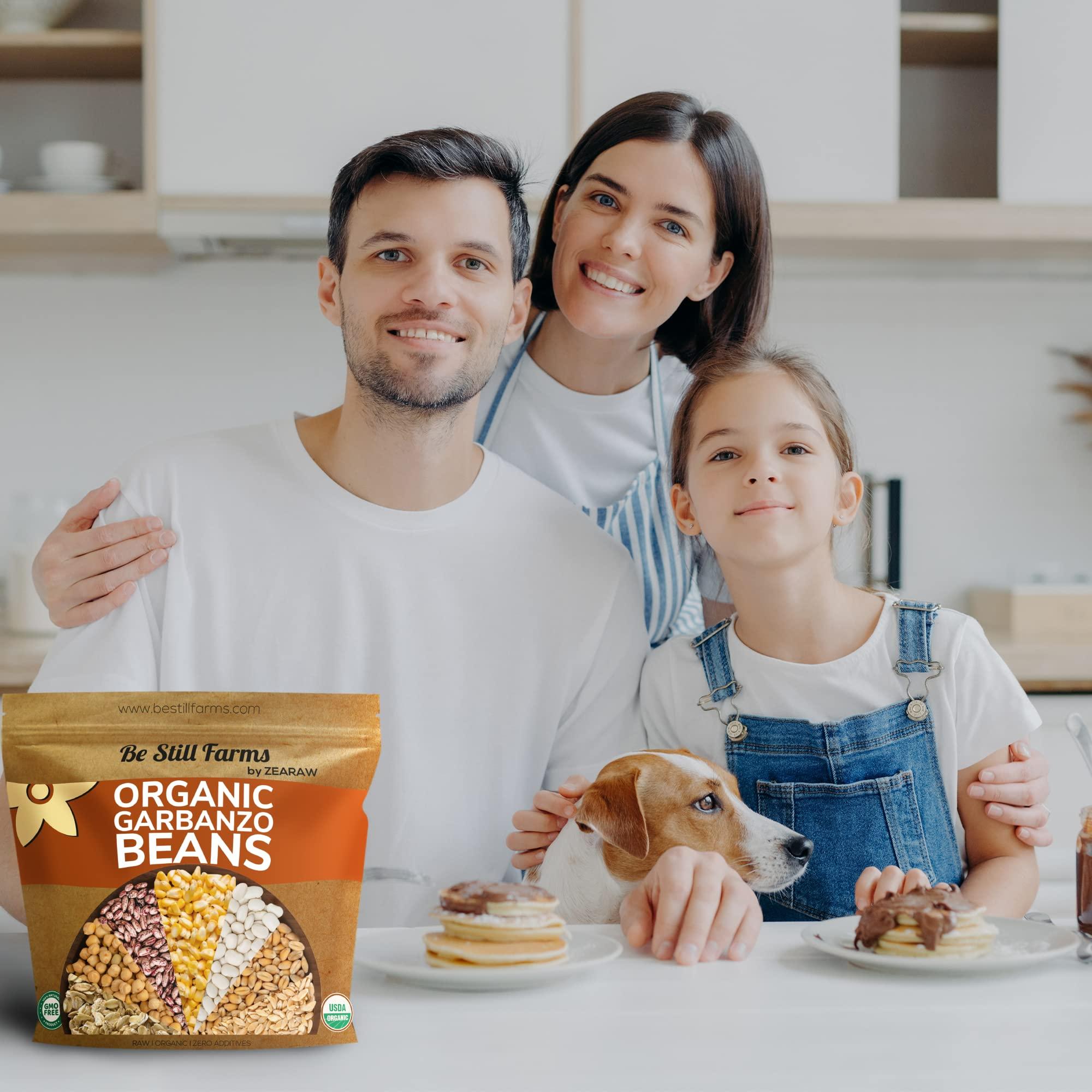 Be Still Farms Organic Chickpeas Garbanzo Beans Dry 4.8lb - Dried Chick Peas Bulk by Be Still Farms - USA Grown | USDA Certified | Vegan | Non-GMO | Gluten Free