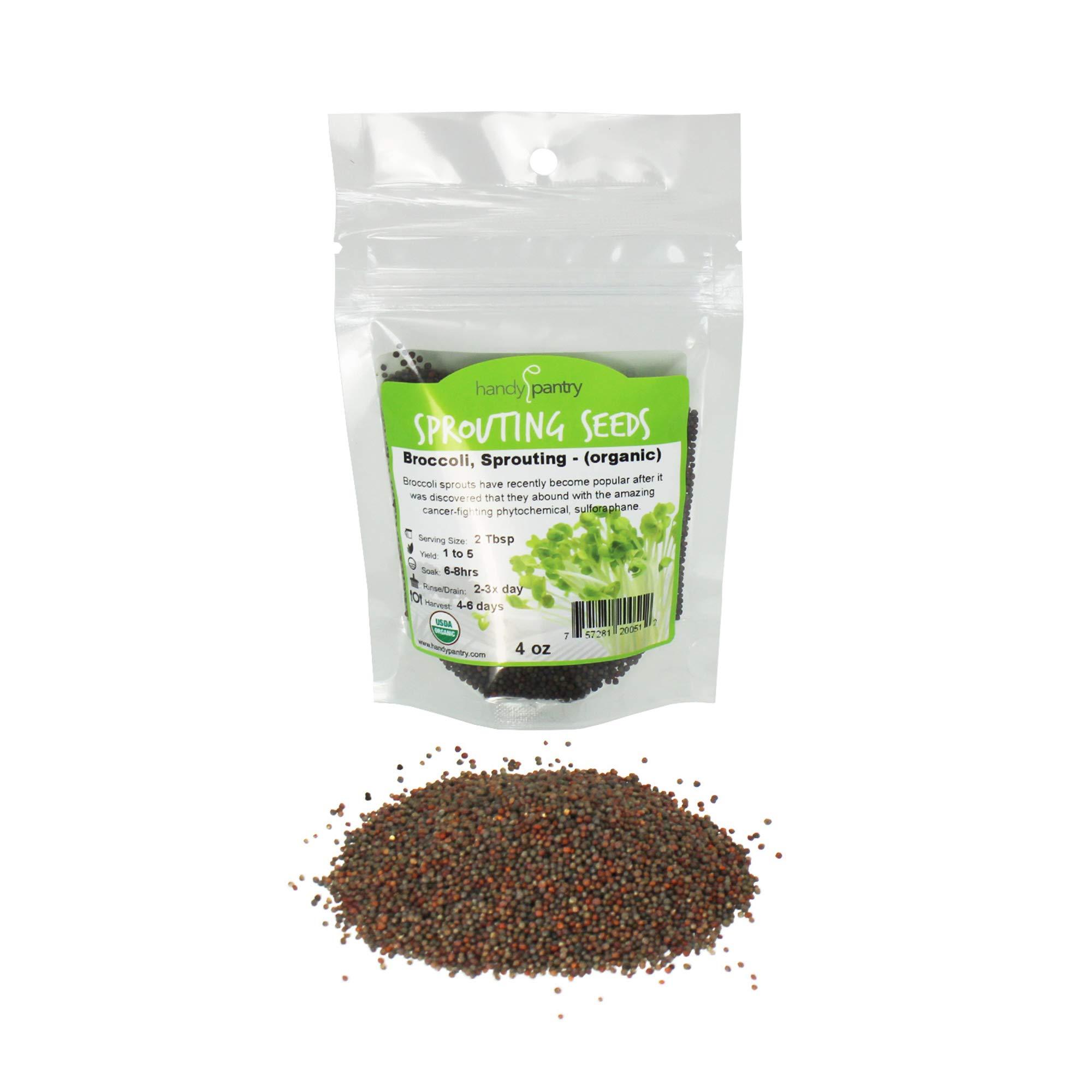 Handy Pantry Organic Broccoli Sprouting Seeds by Handy Pantry | 4 oz. Resealable Bag | Non-GMO Broccoli Sprouts Seeds, Contain Sulforaphane