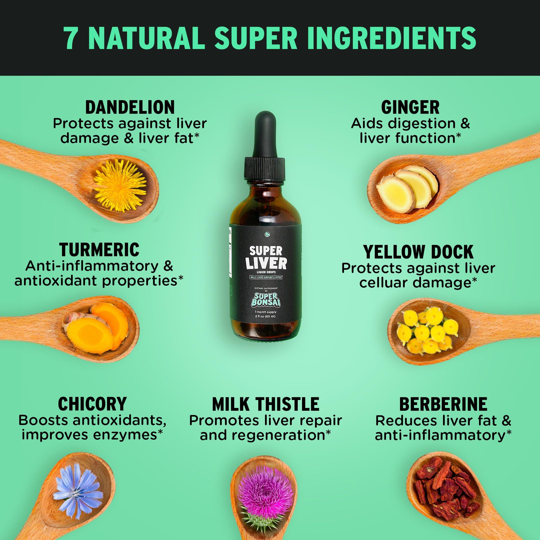 SUPERBONSAI SuperBonsai Super Liver Support with Milk Thistle - All Natural Liver Cleanse Detox & Repair Aid - Doctor-Formulated Liver Supplement - Liquid Herbal Supplements for Liver Health - 1 Month Supply