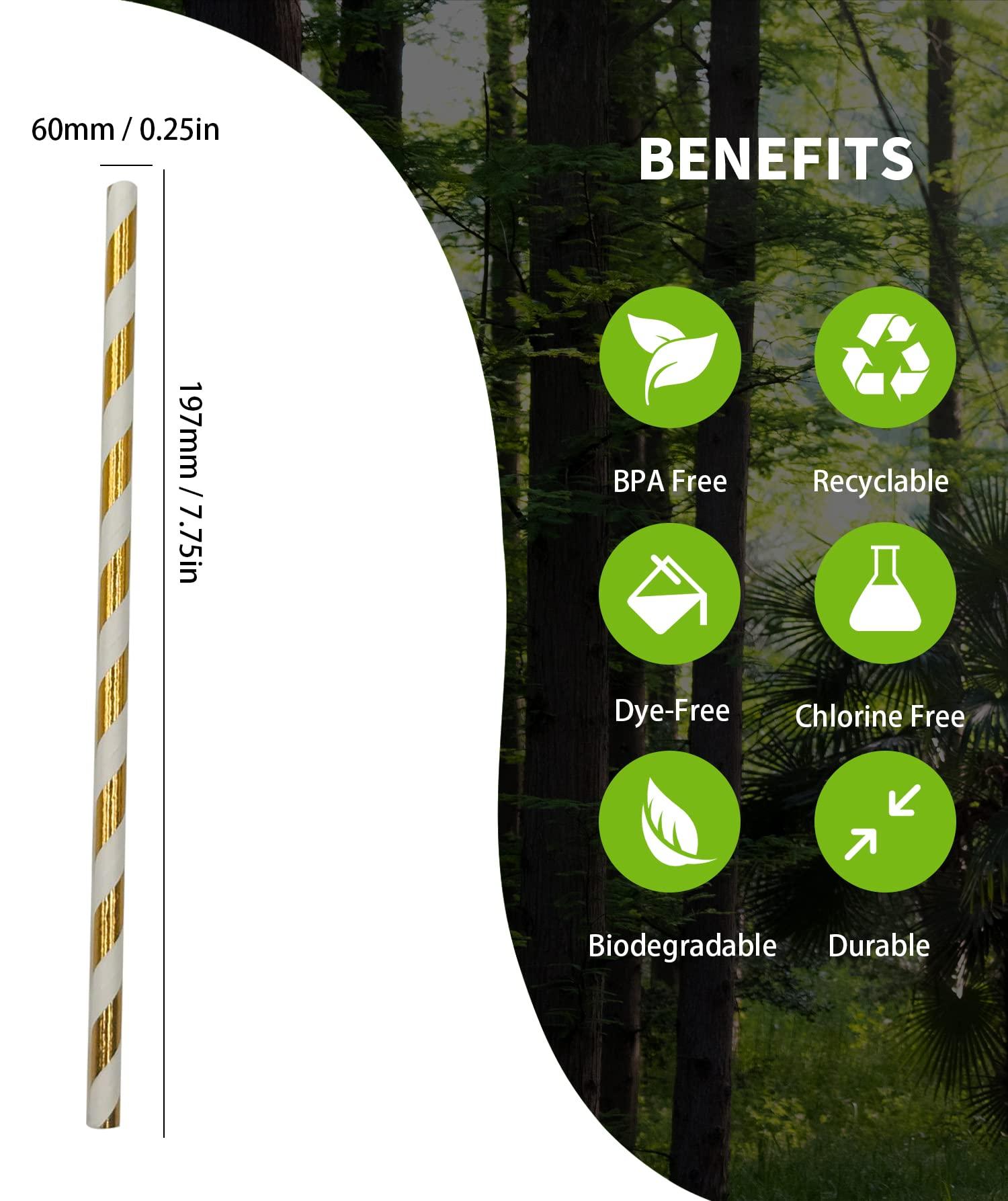 Wide Guyz Wide Guyz Tortoise & Blue Rivera Eyeglasses 59mm for The Stylish Large Man