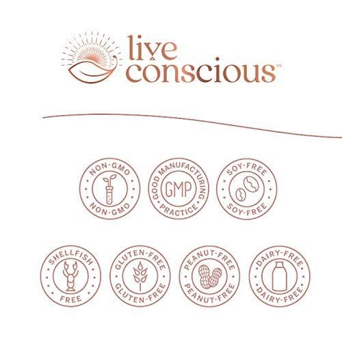 Live Conscious Live Conscious CurcuWell - Curcumin and Boswellia Blend | Maximum Strength Joint, Body and Cognitive Support - 60 Day Supply (2-Pack)