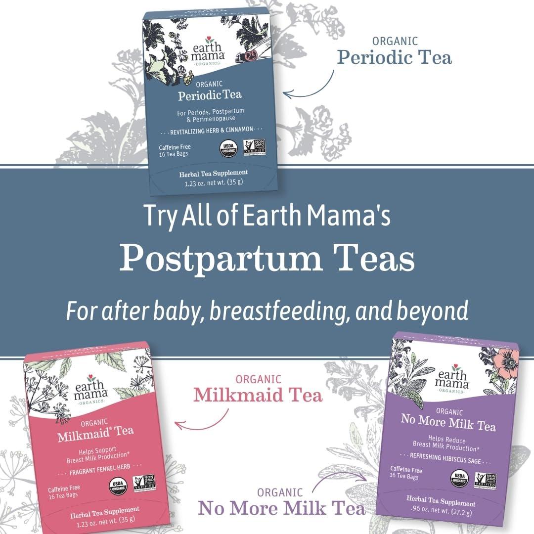 Earth Mama Earth Mama Organic Ginger Nausea Tea | Comforts Occasional Nausea + Morning Sickness, 16 Teabags Per Box