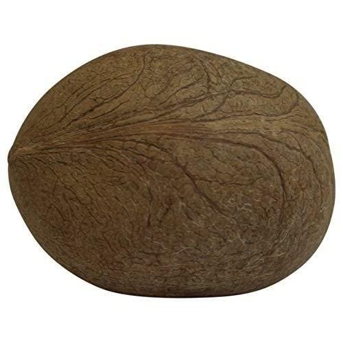 OM SHRI OM OM SHRI OM Dry Whole Coconut for Puja Indian Religious Ceremony