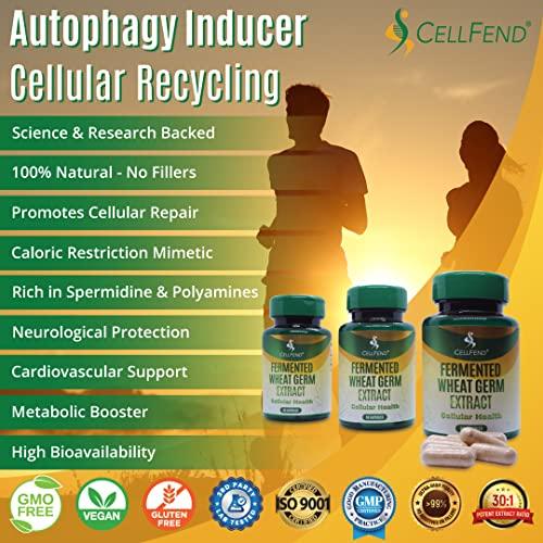 CellFend Fermented Wheat Germ Extract - Cellular Health - Autophagy Inducer - Potent 30:1 Extract - 60 Vegan Capsules (500mg)