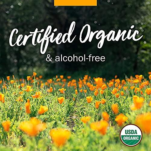 Herb Pharm Herb Pharm Certified Organic Comfrey Liquid Extract - 1 Ounce (DCOMF0)