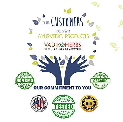 Bodyprox Ankle Brace for Women and Men, Lace Up Ankle Support Brace Stabilizer For Sprained Ankle (X-Small)