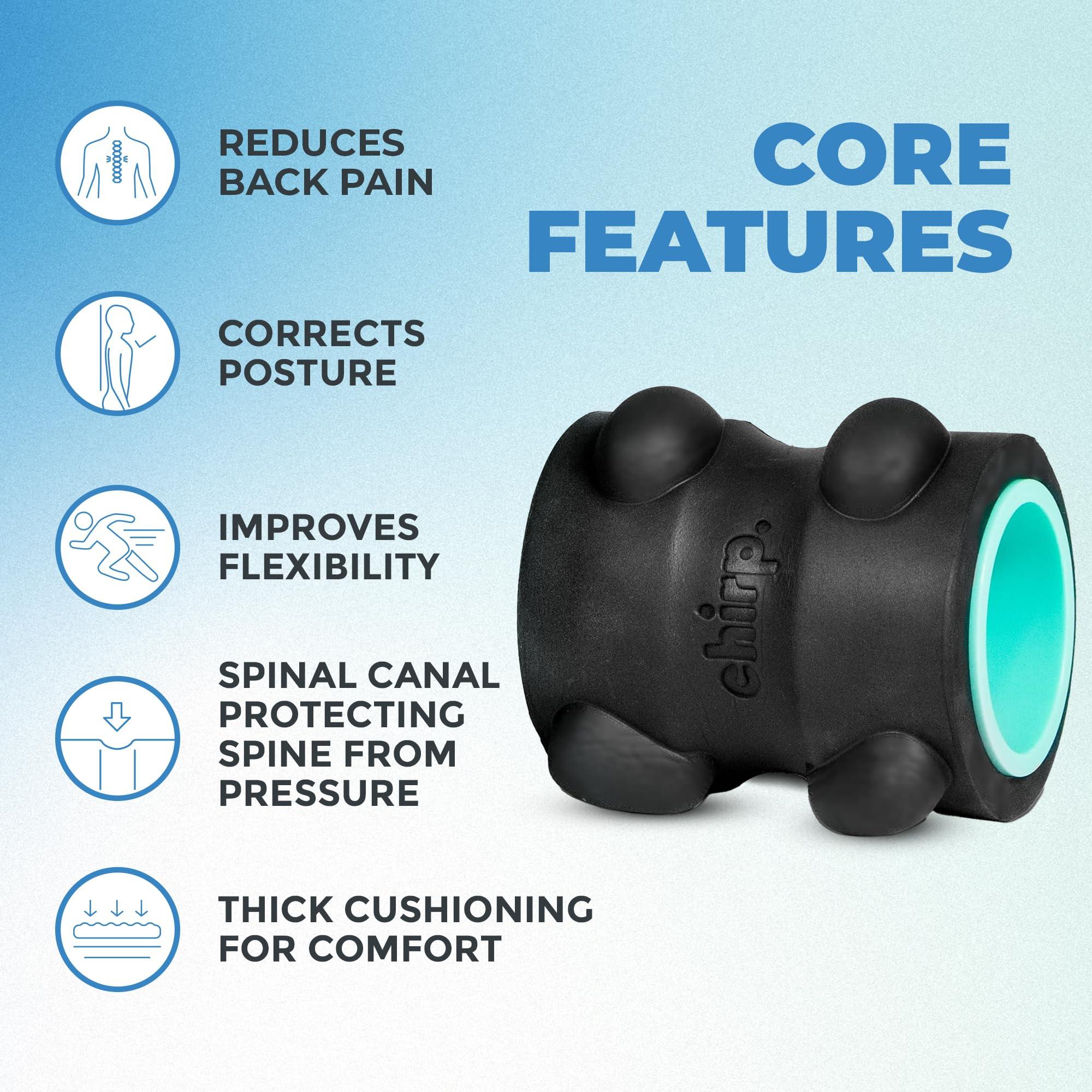 Chirp Chirp Wheel XR Ultimate Relief Bundle - Acupressure for Back and Neck, Stress Melting Spine Comfort, Targeted Trigger Point Release - Mint, 10\" & 4\"