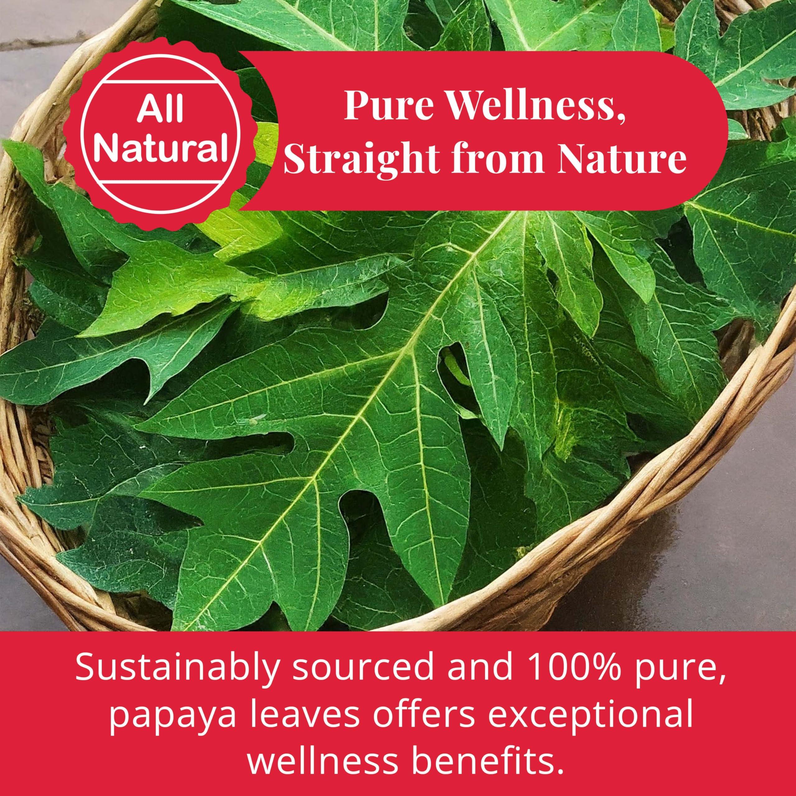 Akshit 10.4oz Dried Papaya Leaves, Hojas De Papaya, Pure from Papaya Leaves. Loose Leaf Papaya Herbal Tea. Papaya Leaf Tea, Non GMO, Gluten free.