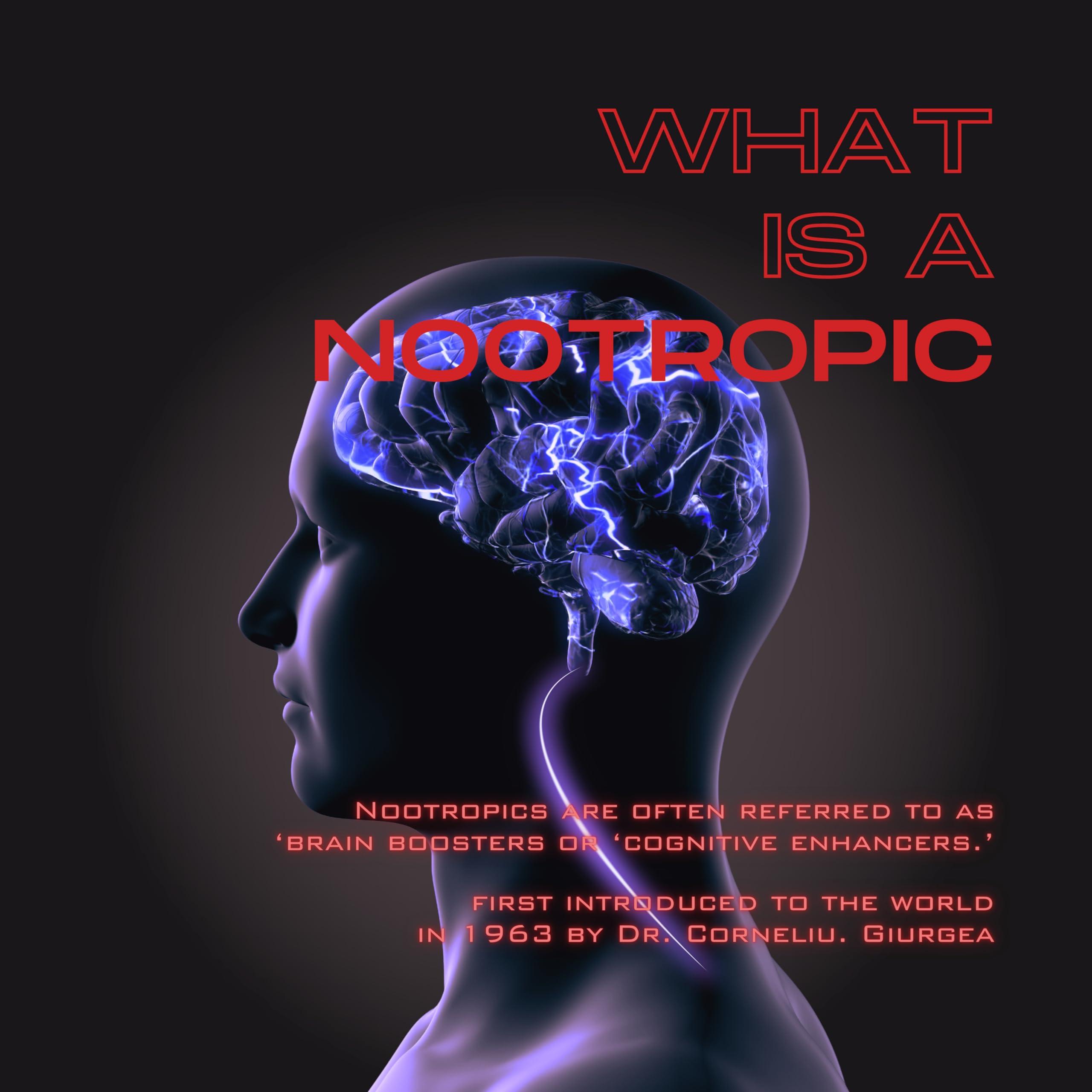 MINDFX MINDFX Performance Pro Blend - Mixed Berry | Nootropic Endurance Drink | Boost Focus, Concentration, and Brain Health | 20 Sticks | Natural Ingredients (Mixed Berry Pro, 1)