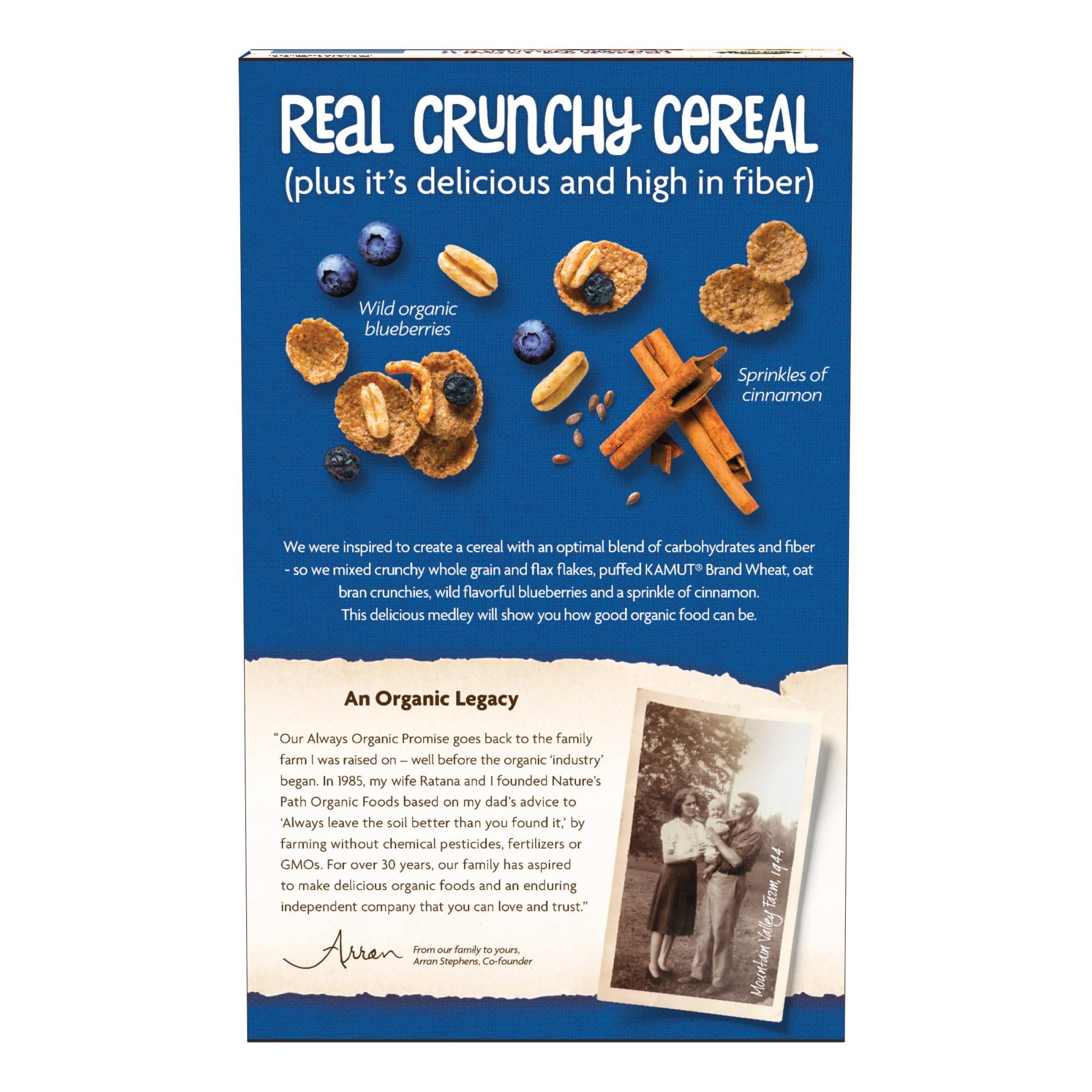 Nature's Path Nature\'s Path Organic Optimum Power Blueberry Cinnamon Flax Cereal, 14 oz (Pack of 12), Non-GMO