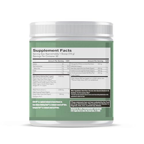 BARE PERFORMANCE NUTRITION BARE PERFORMANCE NUTRITION, BPN Strong Greens Superfood Powder, Improved Digestion, Increased Energy, Immune System Support, Sweet Mint, 30 Servings