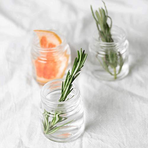 Keto and Co Wondrose Sugar Replacer by Keto and Co | Replaces Sugar Cup for Cup |0 Net Carbs | Sugar free, Diabetic Friendly, Natural, Gluten Free, Prebiotic Fiber | (Granulated, 10.5 oz Replaces 1 Lb of Sugar)