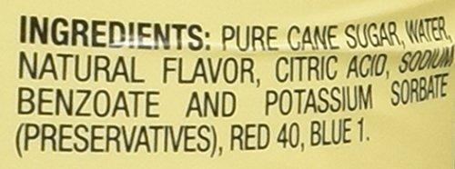 DaVinci Gourmet Da Vinci Gourmet Syrups Raspberry Syrup 750 ml Bottle