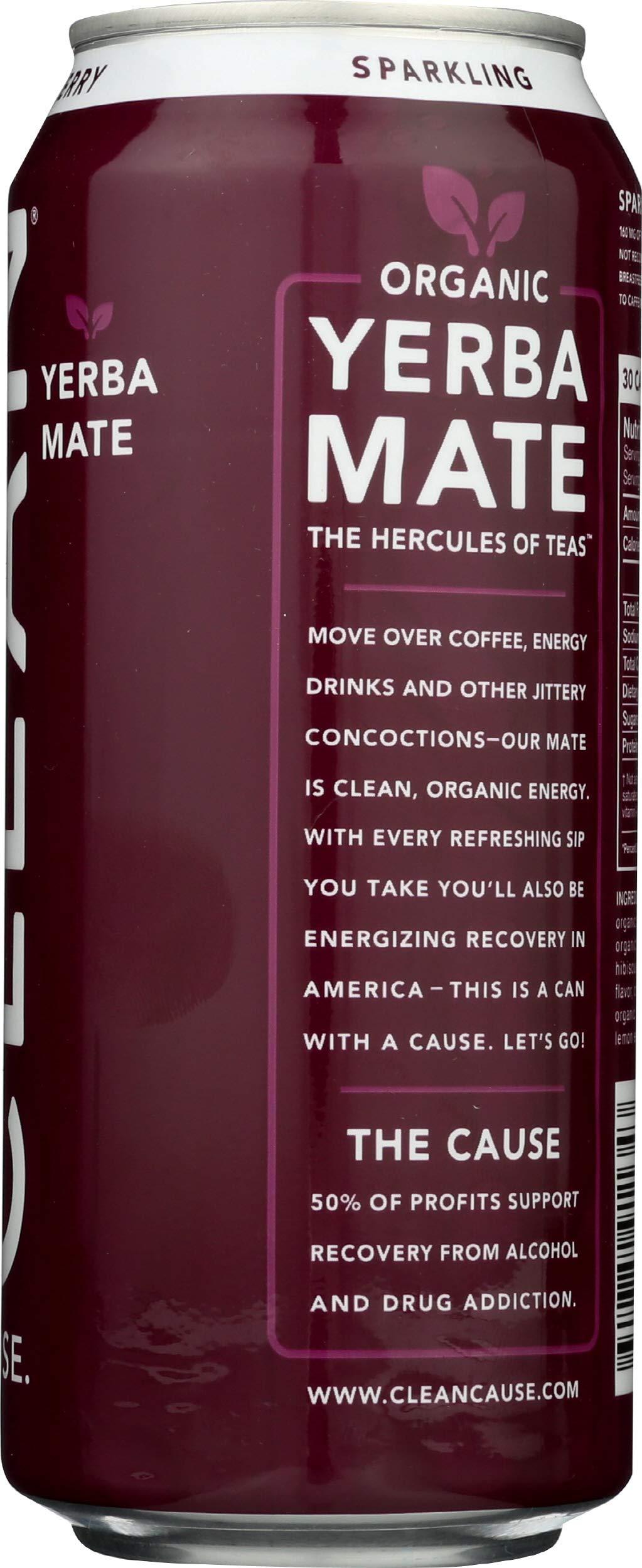 Clean Cause Clean Cause Sparkling Blackberry Yerba Mate - 16 Ounces (Case of 12)