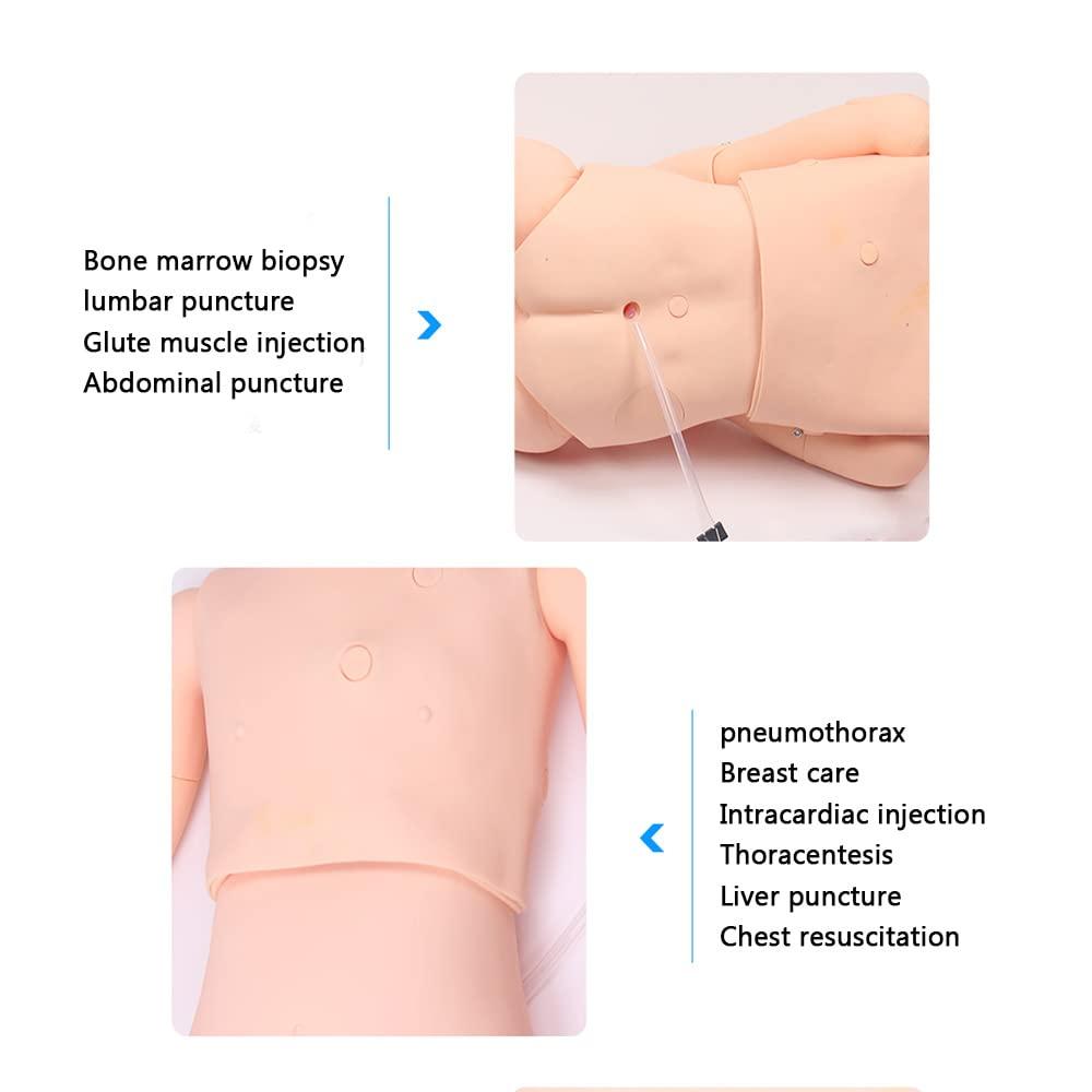 ZCBYBT ZCBYBT Educational Teaching Model Patient Care Manikin Nursing Training Model Nursing School Manikin,Women