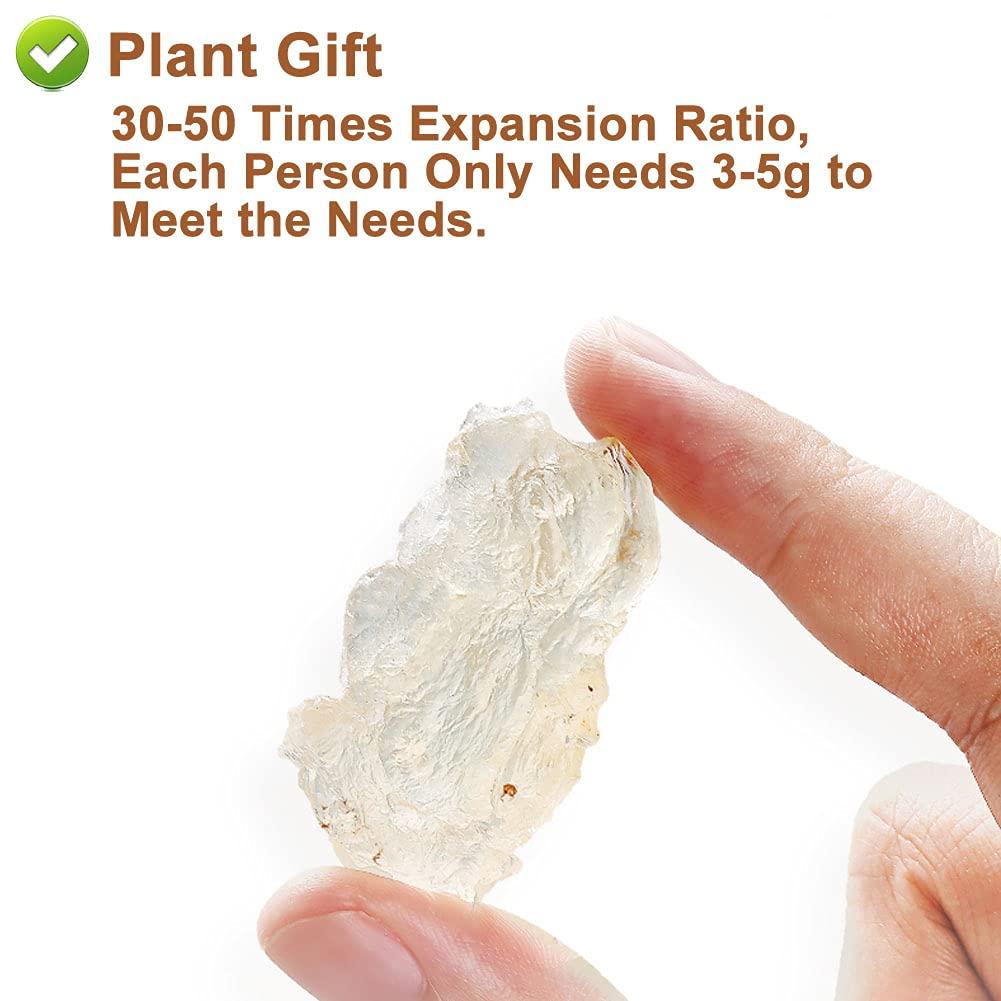 Plant Gift Plant Gift Wild Edible Gum,Tragacanth Gum ?? Snow Swallow xueyan No Colors, NON-GMO 150g / 5.29oz