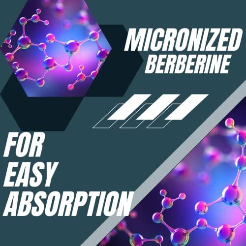 Research Labs Research Labs 1500mg Clinical Grade Berberine High Absorption Formula & BerberQuil™ Support. 90 Total Capsules