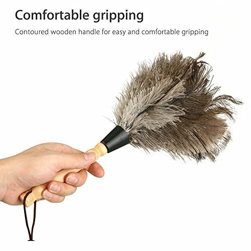 TEAMWILL TEAMWILL 2PACKS 13\" Ostrich Feather Duster Durable Dust Collecting Cleaning Tool in Wool Shop