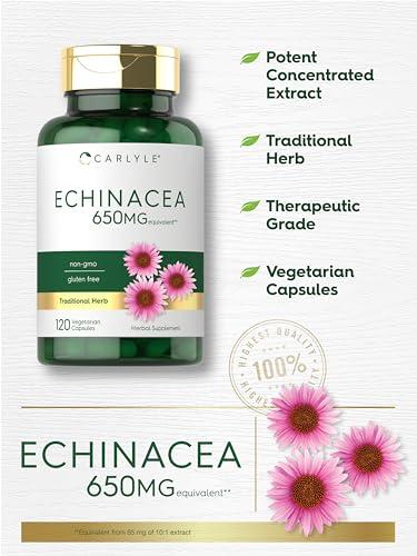 Carlyle Carlyle Echinacea Capsules 650mg | 120 Count | Non-GMO & Gluten Free Supplement