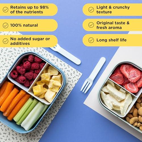 SUMMMER Freeze Dried Fruit Mix - 12 Dried Fruit Snacks Individual Packs Strawberry, Raspberry, Pineapple, Mango, Banana, Blueberry, Apple - No Added Sugar, 100% Natural Freeze Dried Snacks