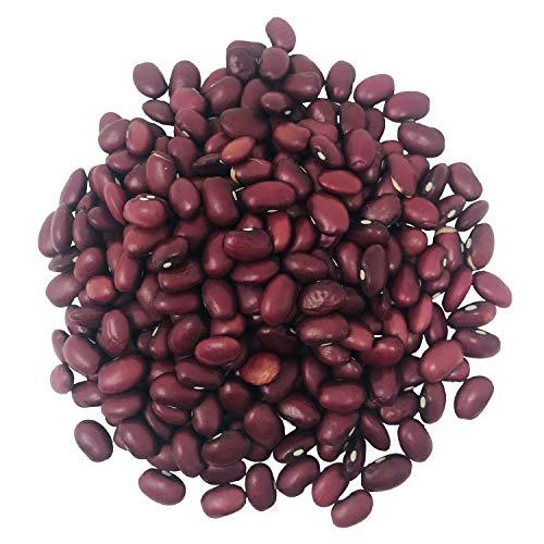 Food to Live Food to Live Organic Small Red Chili Beans, 1 Pound - Non-GMO, Kosher, Vegan, Dry, Raw, Sproutable, Non-Irradiated, Bulk, Product of the USA