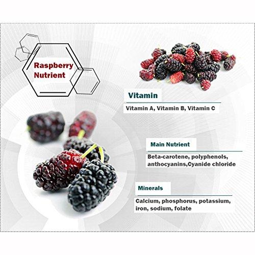 Garurang Raspberry Powder 200g Natural 100% Pure Korean Healthy Tea Food Powder Made In KOREA