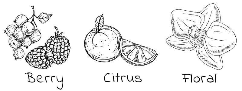 Kitty Town Coffee Kitty Town Coffee: Thuthan\'s Ethiopia Sidamo Coffee From Ethiopia 2lb (32oz) Whole Bean