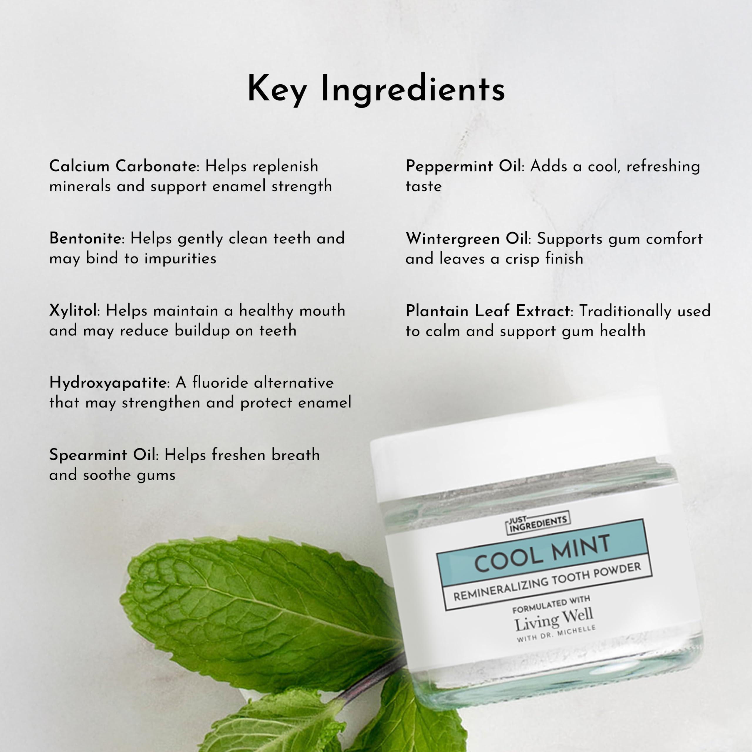 Living Well with Dr. Michelle Living Well with Dr. Michelle Remineralizing Tooth Powder | Fluoride-Free Formula with Hydroxyapatite | Cavity Prevention & Remineralization | Safe & Clean Ingredients | Cool Mint Flavor